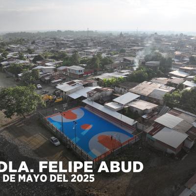 Regeneración de Canchas